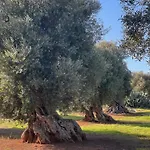 Masseria Rienzo Ostuni