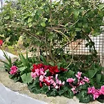 Masseria Rienzo *