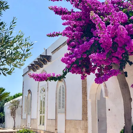 Masseria Rienzo *