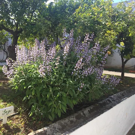Masseria Rienzo *