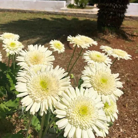 Masseria Rienzo * Ostuni