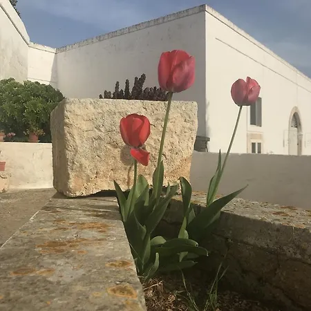 Séjour à la ferme Masseria Rienzo