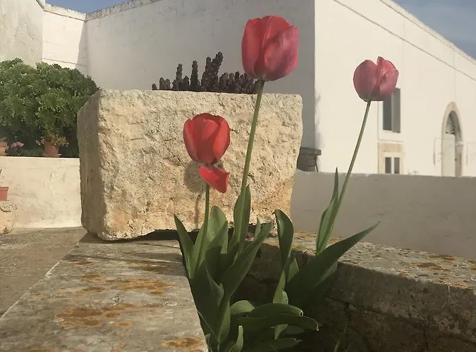 Farm stay Masseria Rienzo