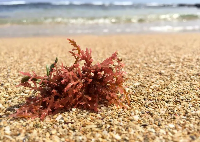 Masseria Rienzo Farmház Ostuni