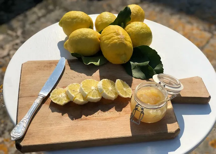 马塞里亚里恩佐酒店 农家乐 *